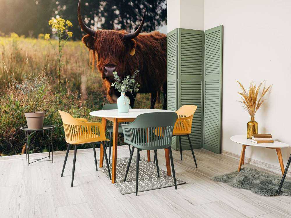 Szkocki wyżyn w wysokiej trawie