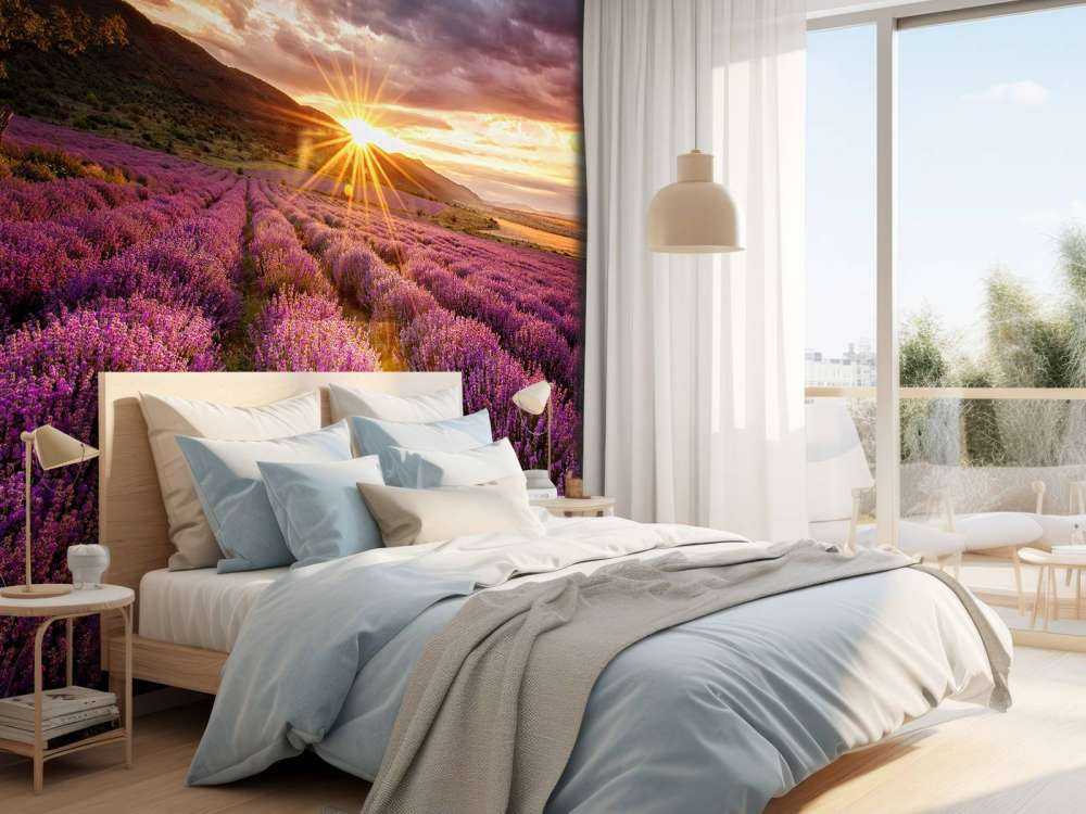 Lawenda pod słońcem