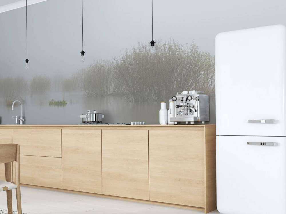 Mgła w rezerwacie przyrody