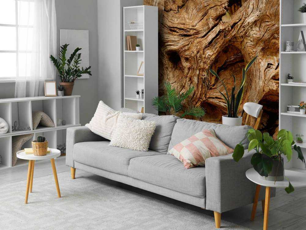 Zbliżenie na stare drzewo