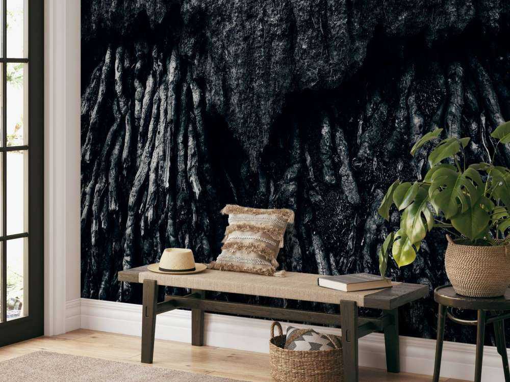 Drzewo, czarno-białe