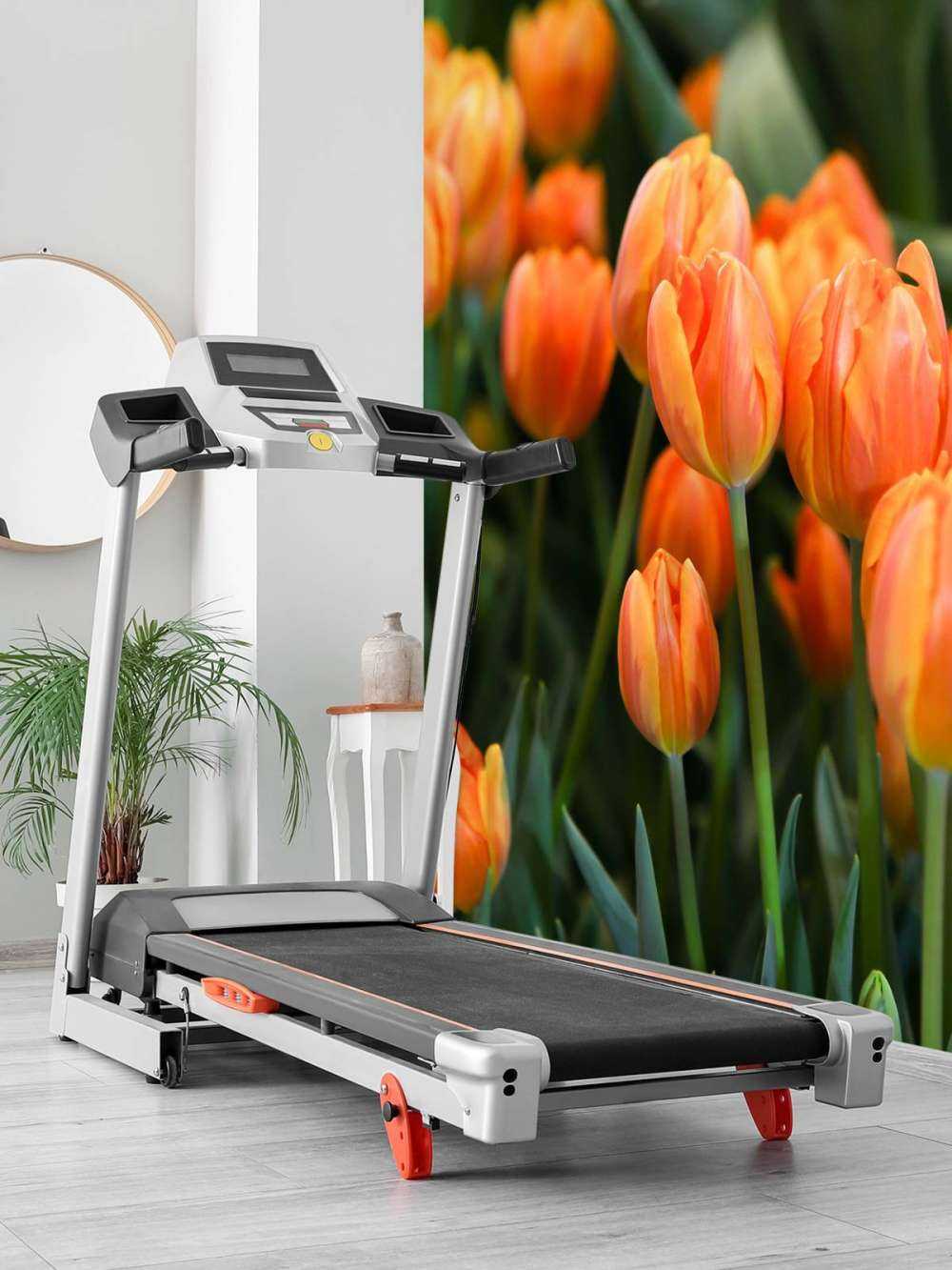 Tulipany pomarańczowe