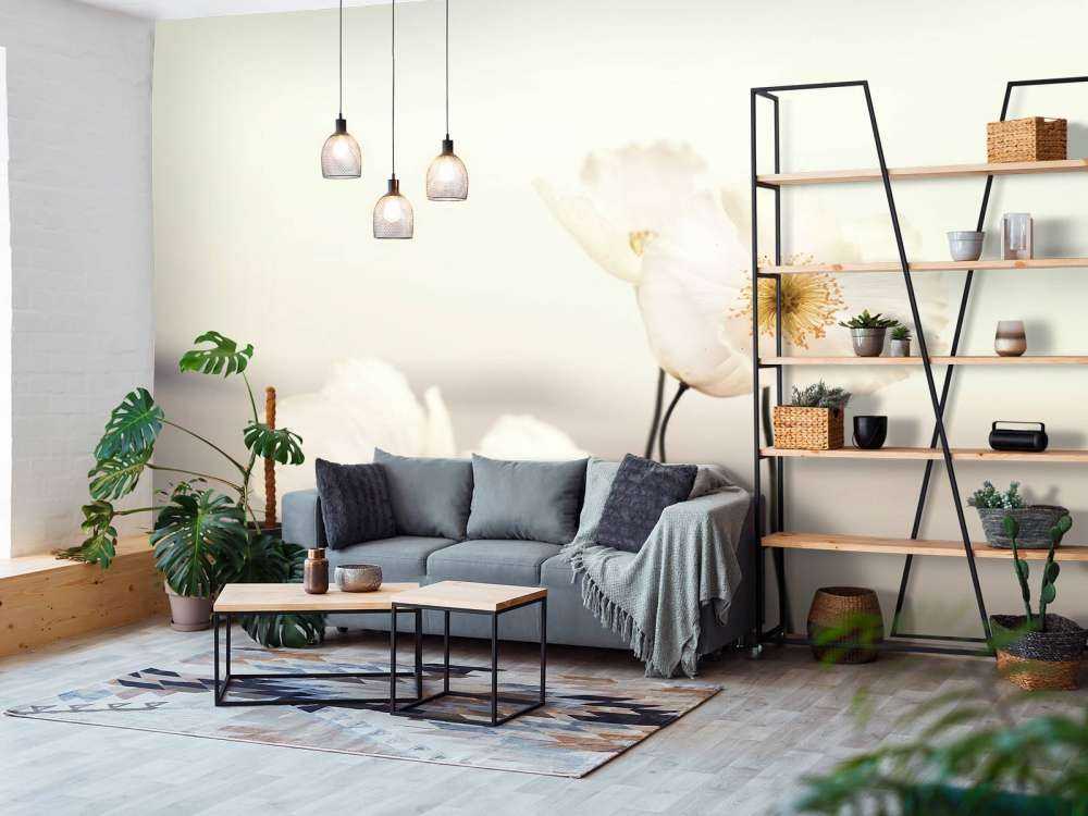 Białe maki w zbliżeniu