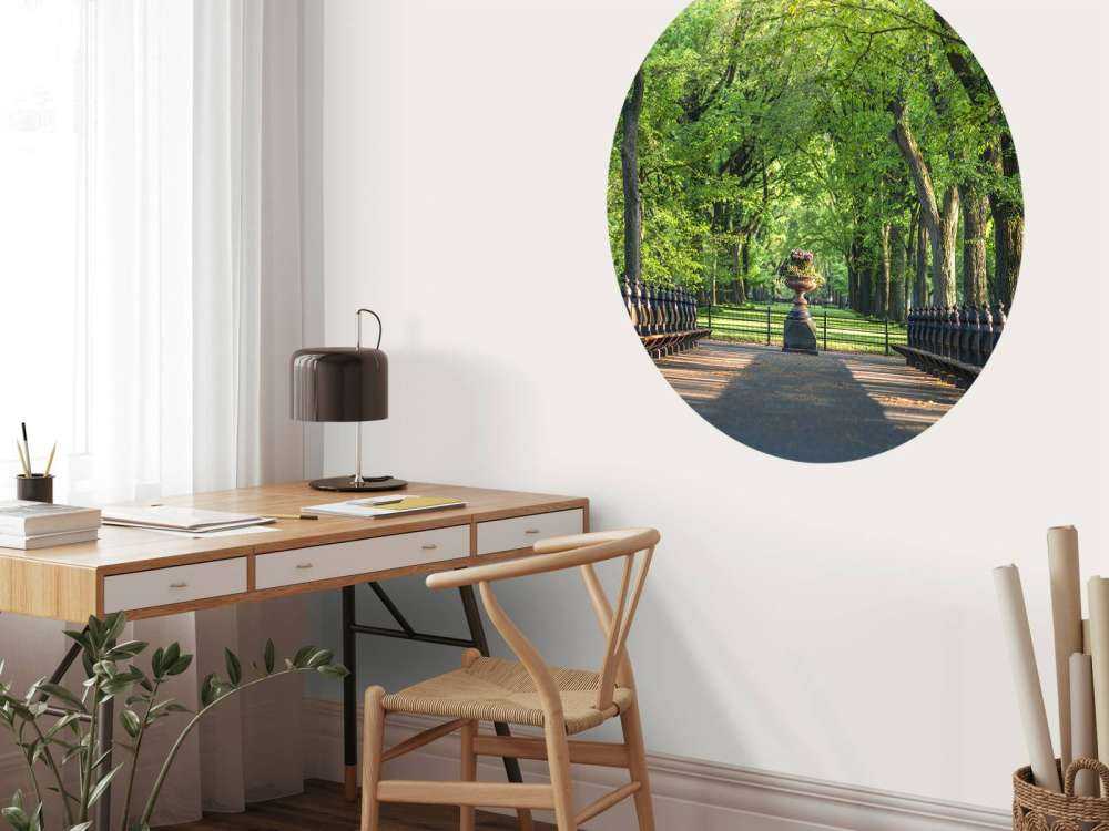 Ścieżka w Central Parku