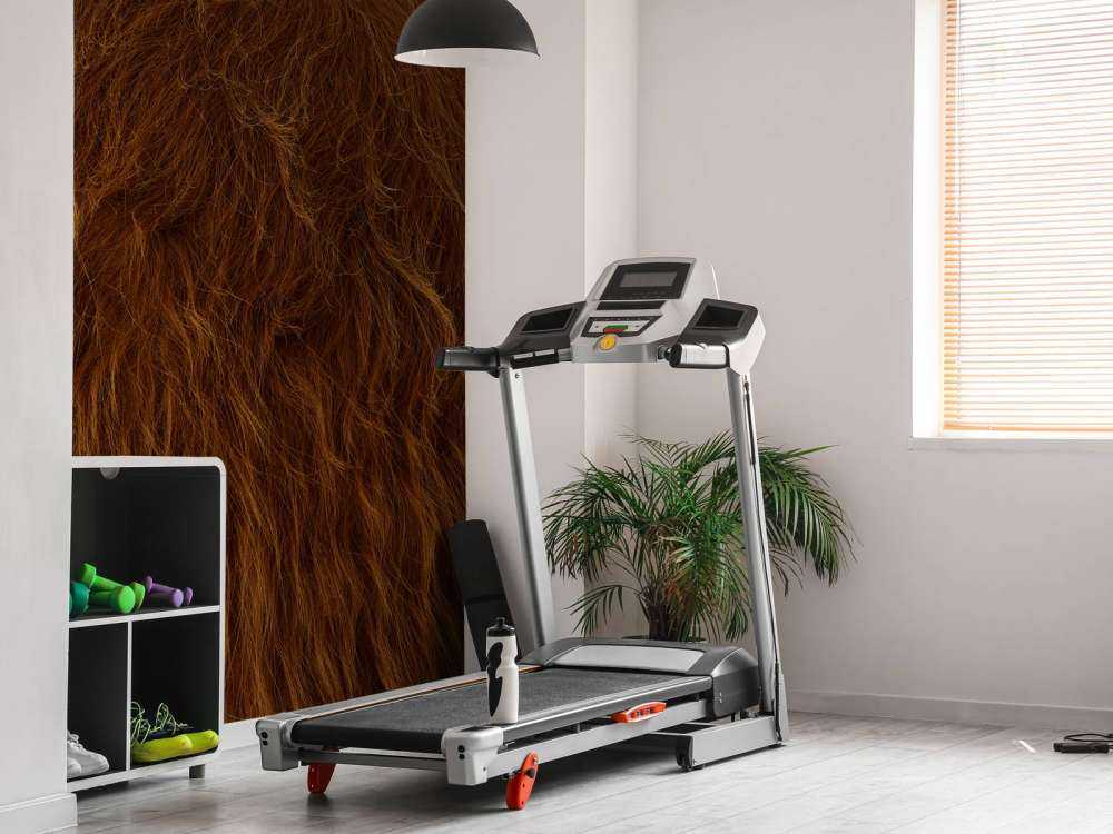 Sierść szkockiego wyżynna