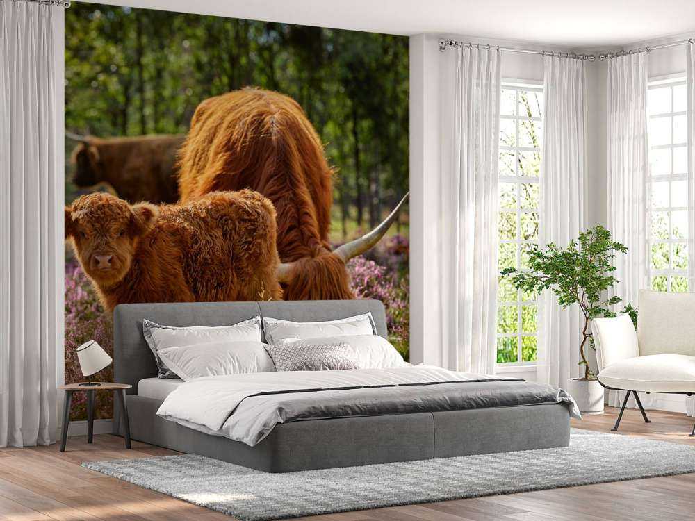 Rodzina szkockich wyżynnów