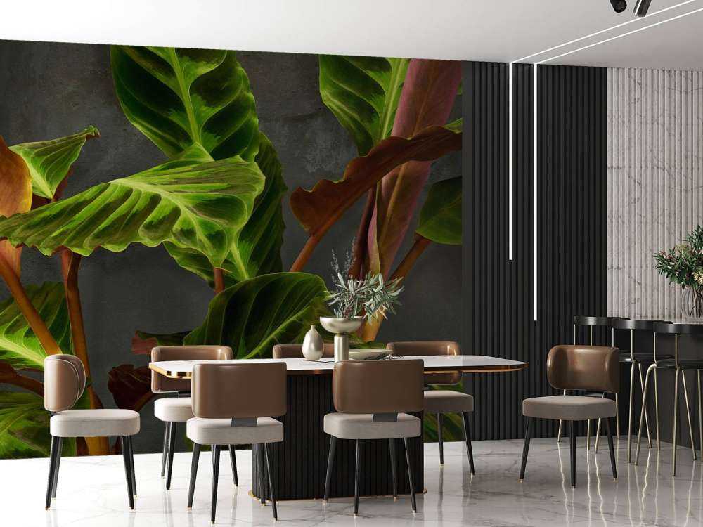 Roślina z pięknymi zielonymi liśćmi