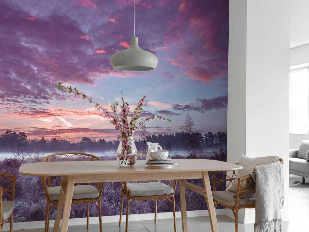 Łąka pod pochmurnym niebem