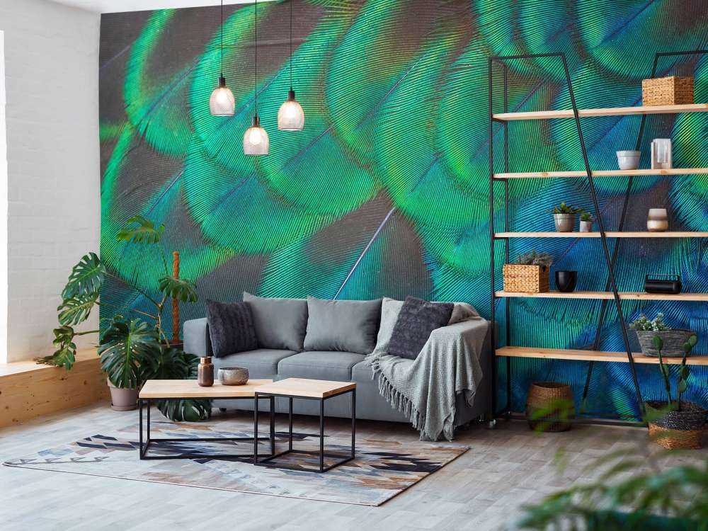 Zbliżenie na pawie pióra