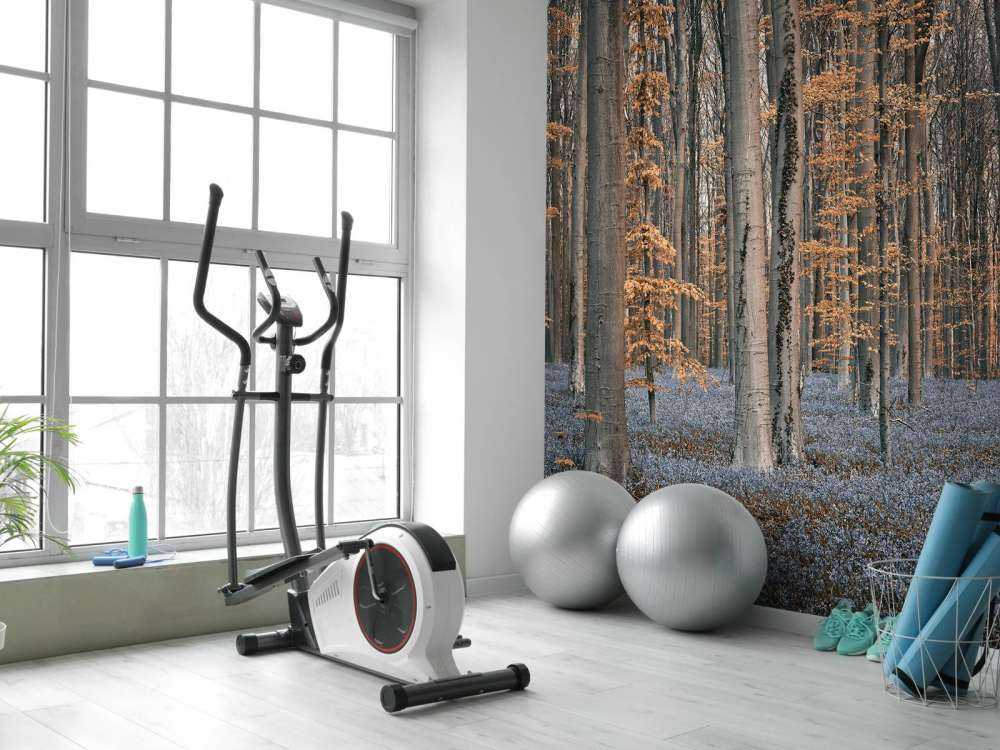 Las z pastelowymi odcieniami