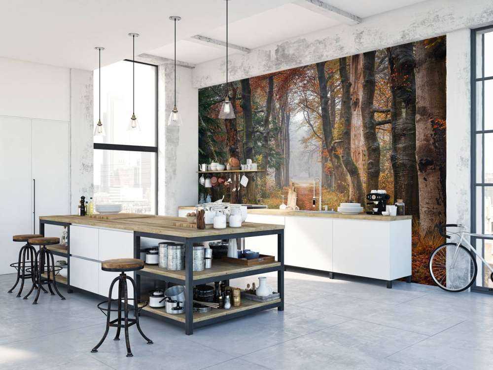 Leśna ścieżka ze starymi drzewami