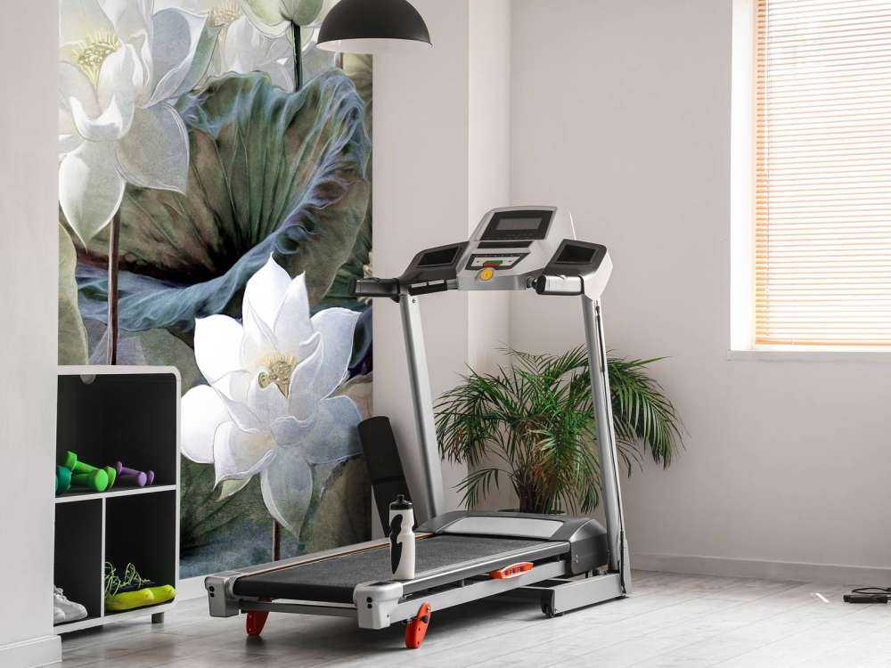 Malownicze kwiaty lotosu