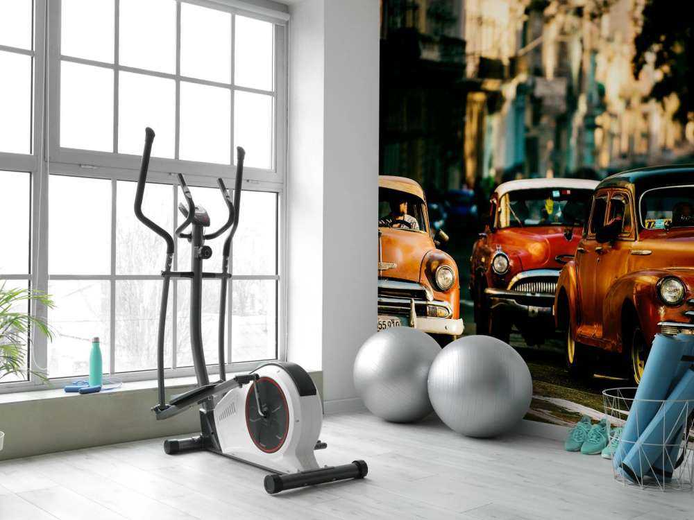 Come with me in the morning light