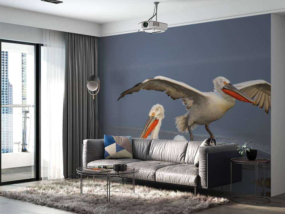 pelikan dalmatyński