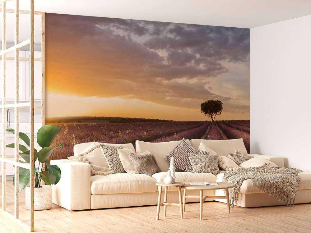 Destination lavender