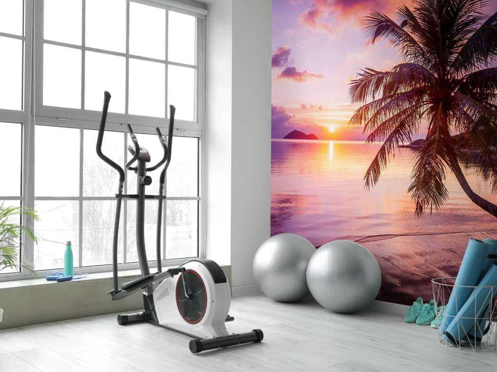 Palma przy zachodzie słońca