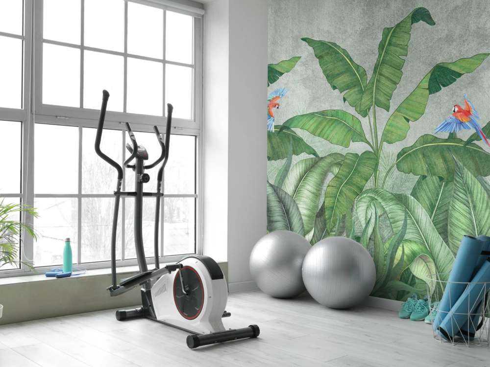 Tropikalne liście na betonie