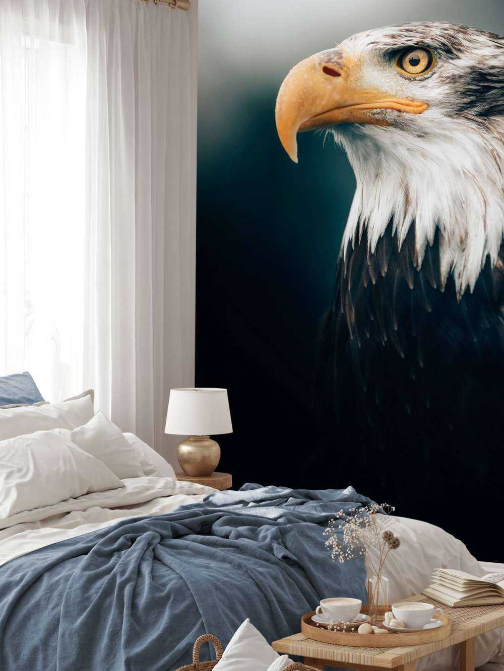 Orzeł morski w zbliżeniu