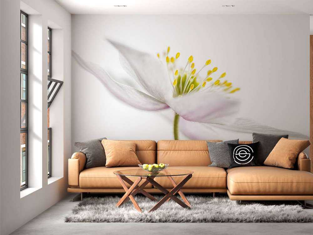 Beautiful Nemorosa**