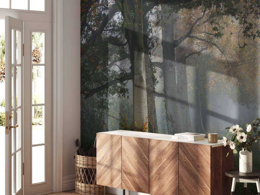 Aleja z drzewami we mgle