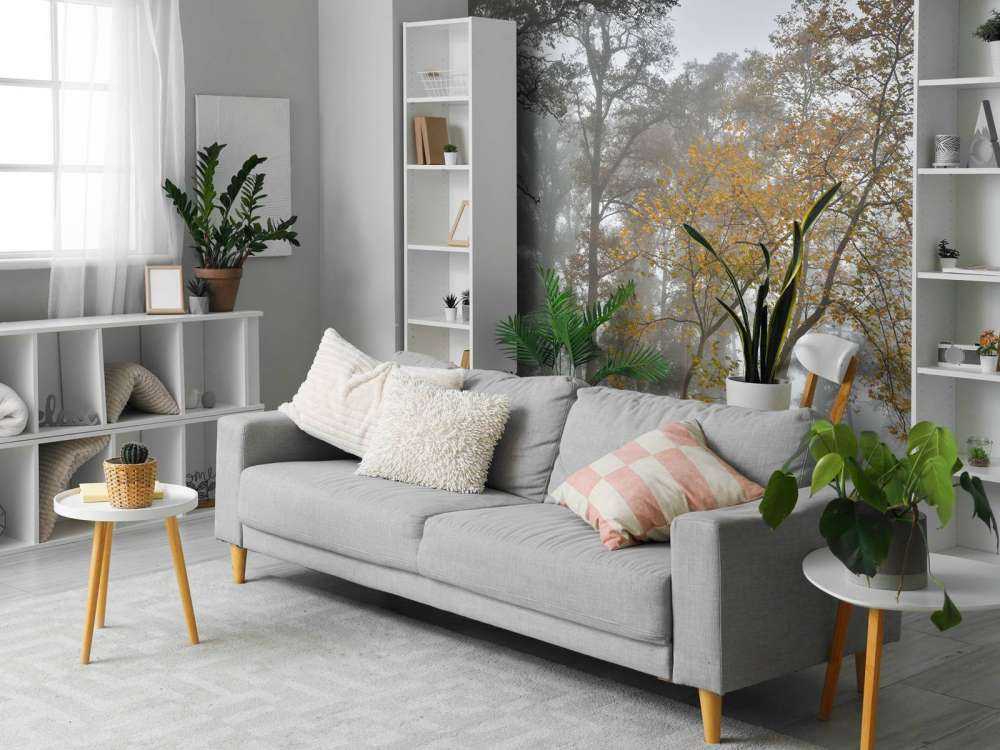 Pole trawiaste z drzewami i mgłą