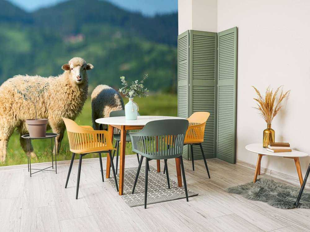 Dwie owce na pastwisku