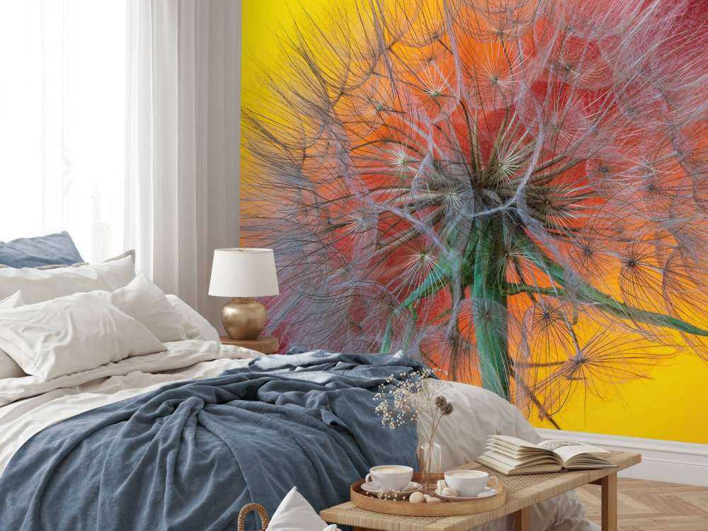 Zbliżenie na mniszka lekarskiego