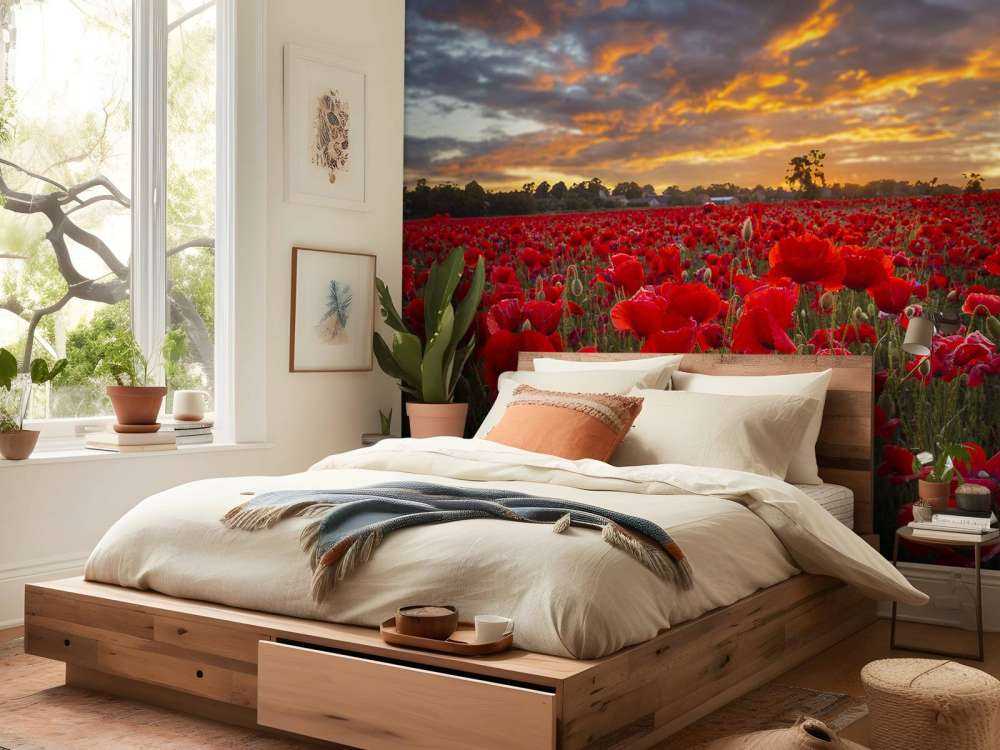 Pole maków z pięknym niebem