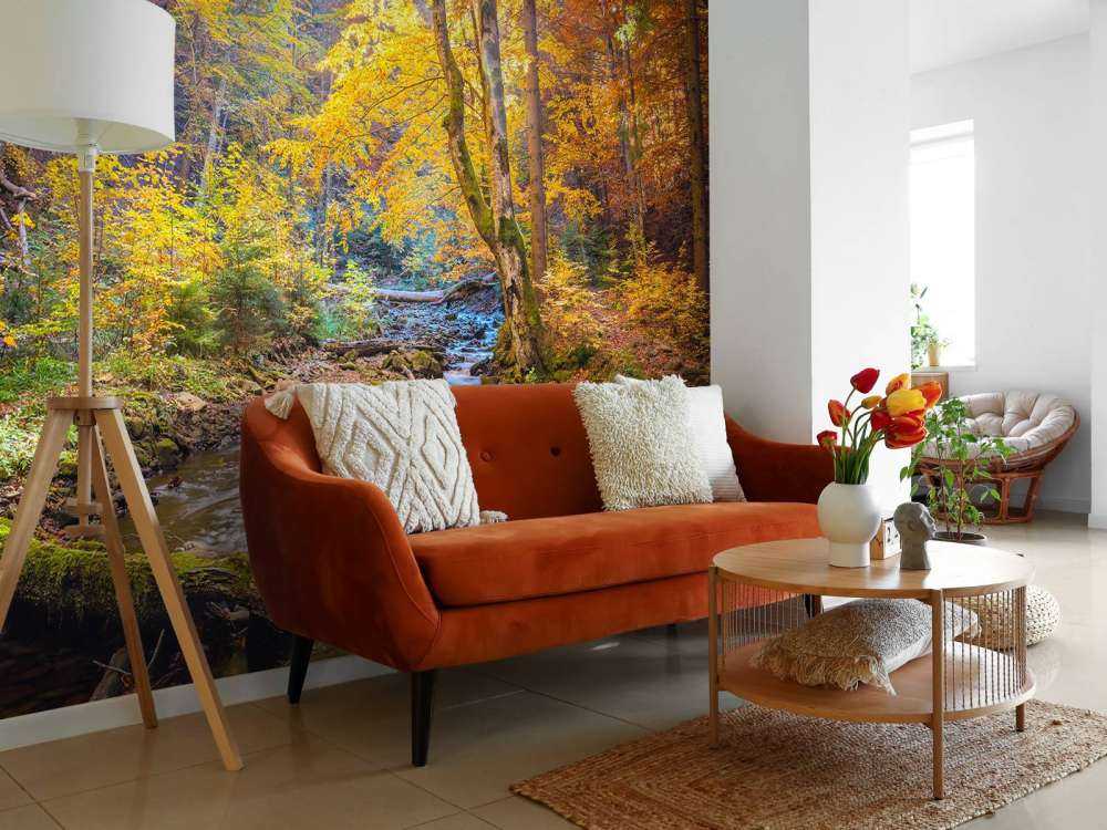 Jesień w dzikim lesie