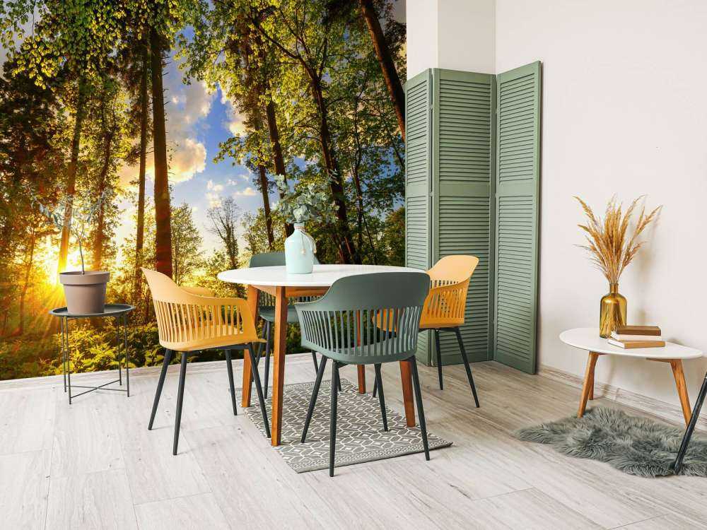 Zachód słońca wśród drzew