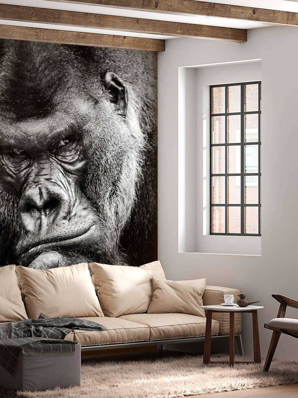 Zbliżone zdjęcie goryla