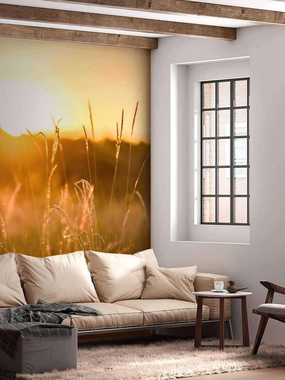 Zachód słońca między ziarnami