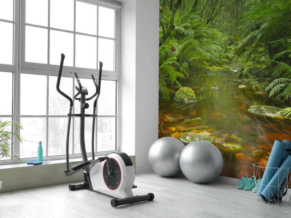 Rzeka w lesie deszczowym