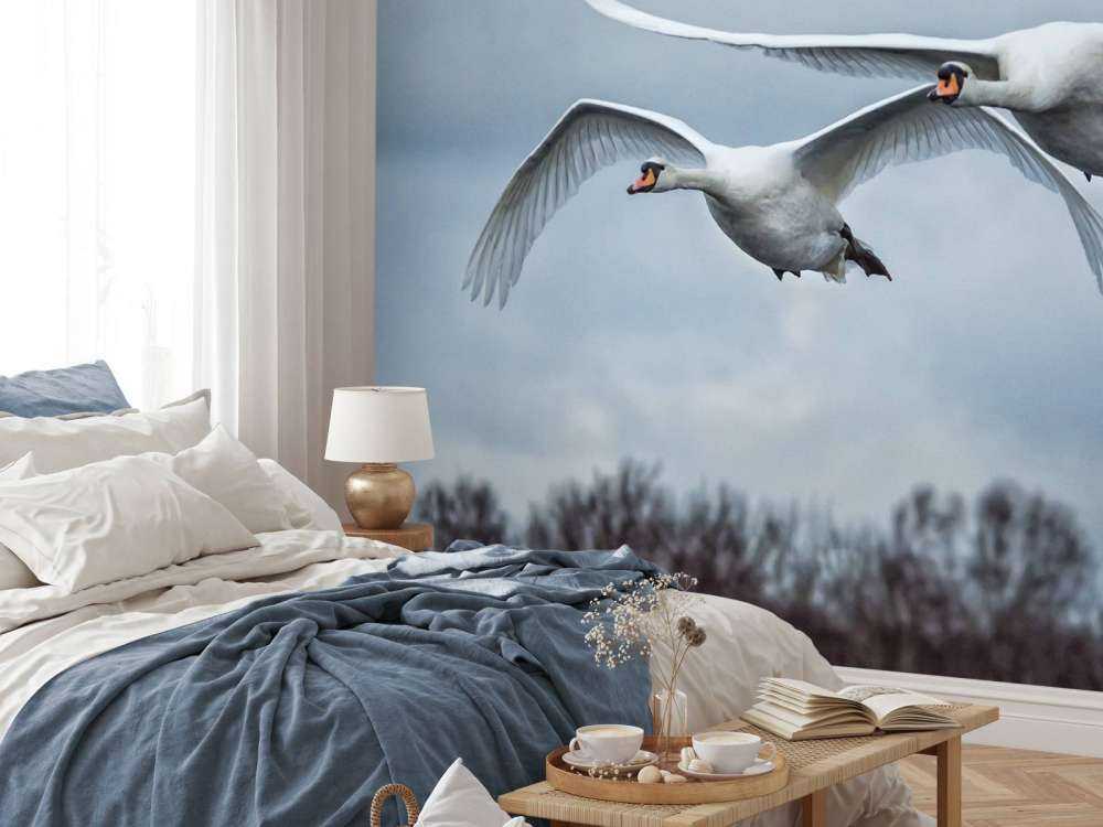 Latające łabędzie