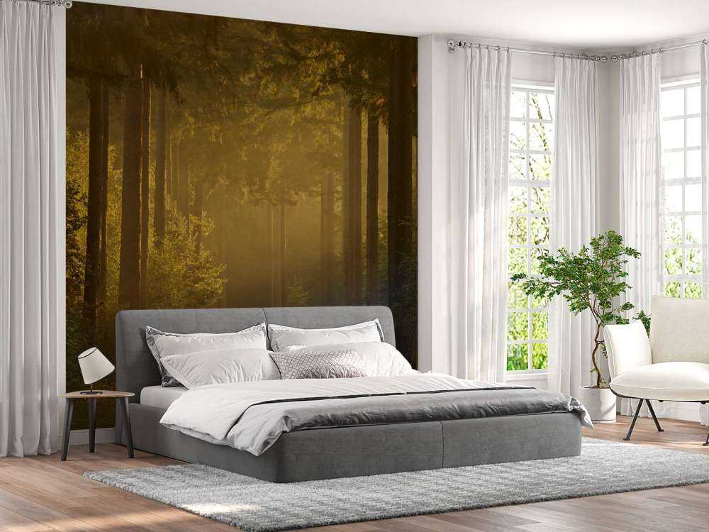 Wschód słońca w drodze przez las