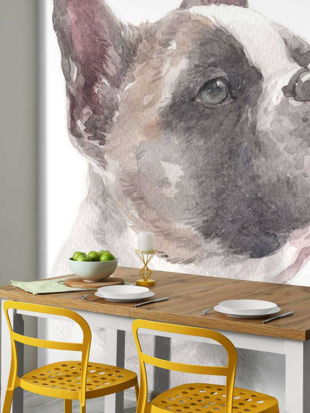 Akwarelowy buldog francuski