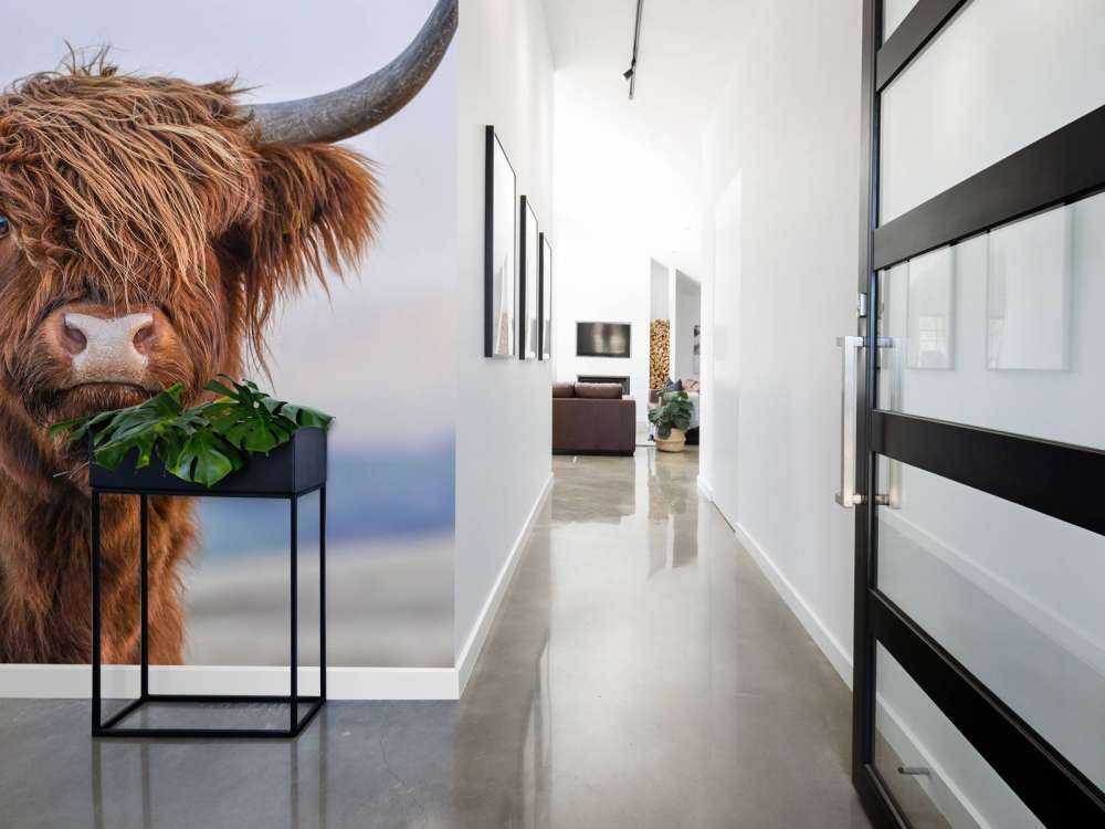 Szkocki wyżyn w roli głównej