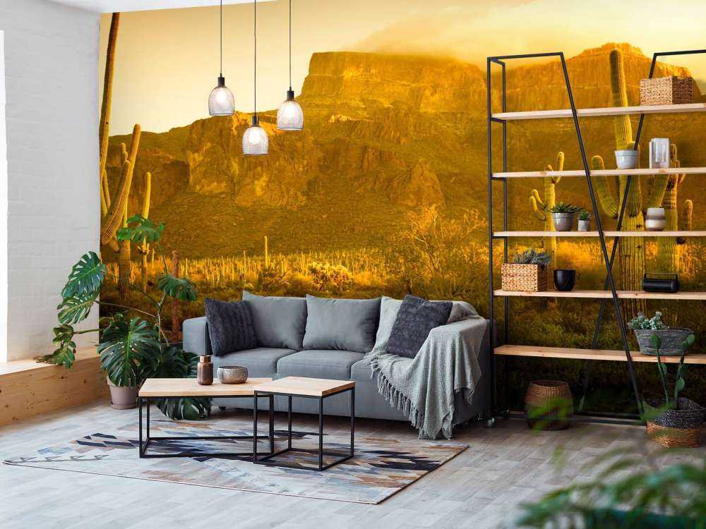 Pustynia z kaktusami