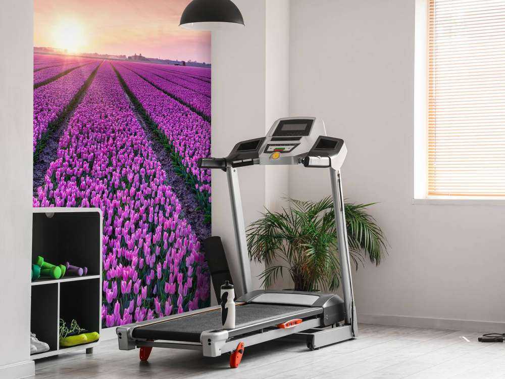 Pole tulipanów o wschodzie słońca