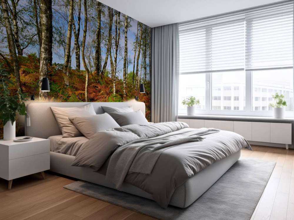 Brzozy z kolorowymi paprociami