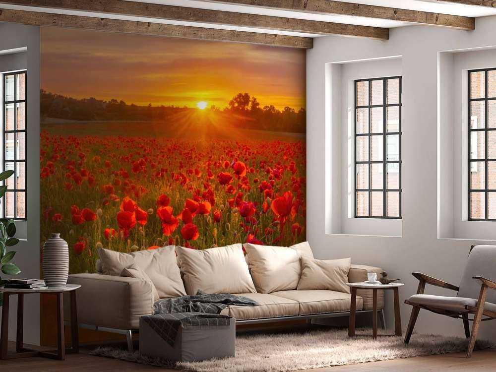 Kwitnące pole makowe