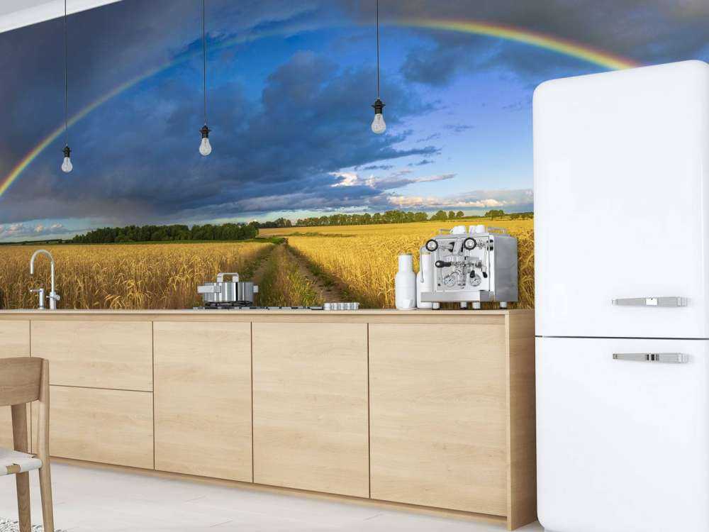 Tęcza nad polem pszenicy