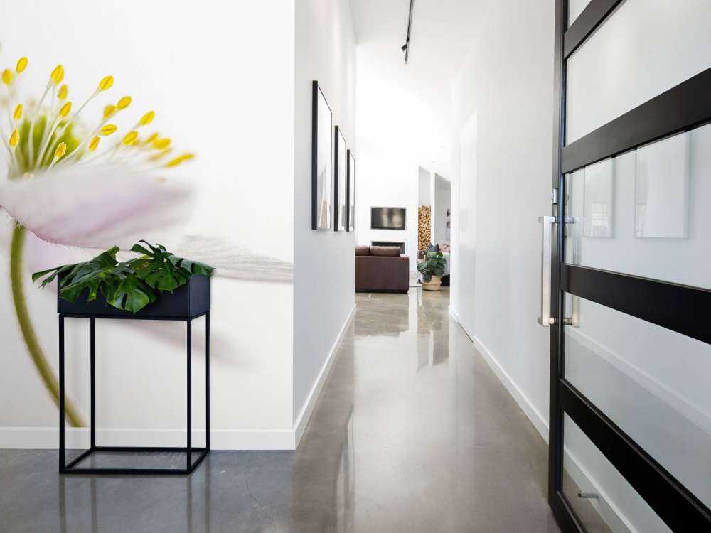 Beautiful Nemorosa**