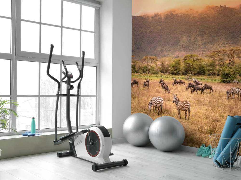 Krajobraz sawanny z zebrami