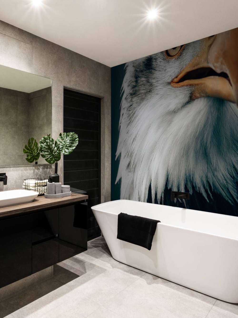 Spoglądający orzeł morski