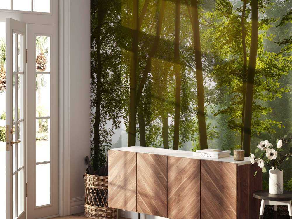 Las w porannym słońcu