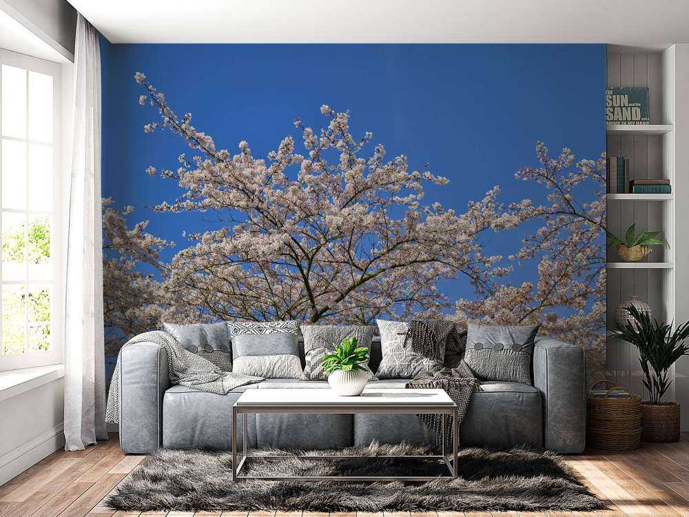 Kwiat z błękitem nieba