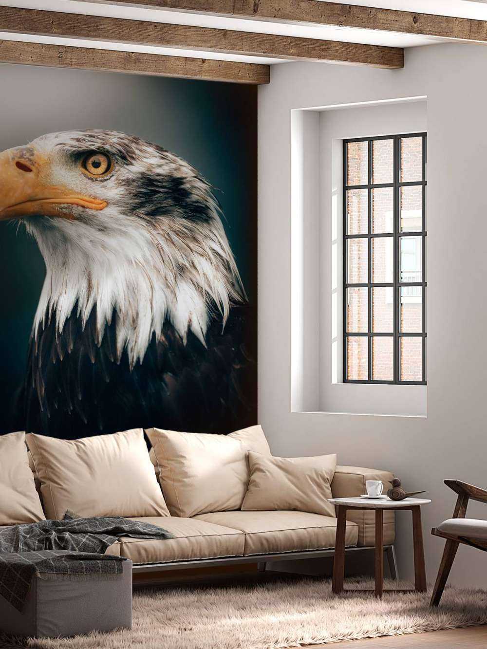 Orzeł morski w zbliżeniu