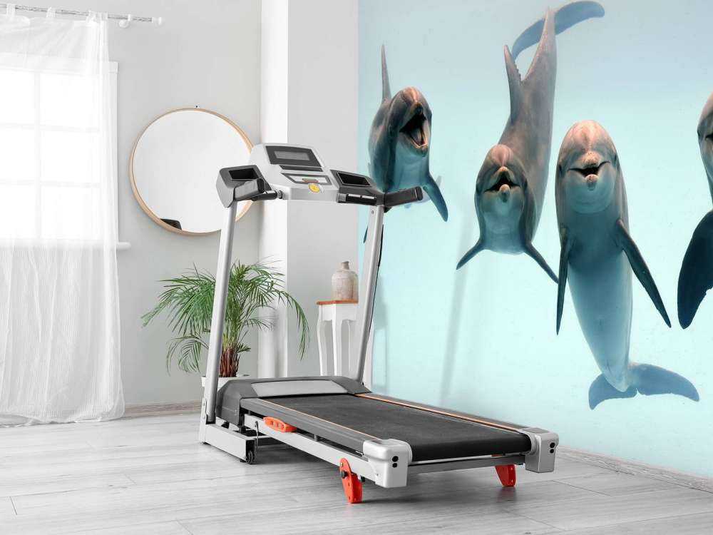 Śmiejące się delfiny