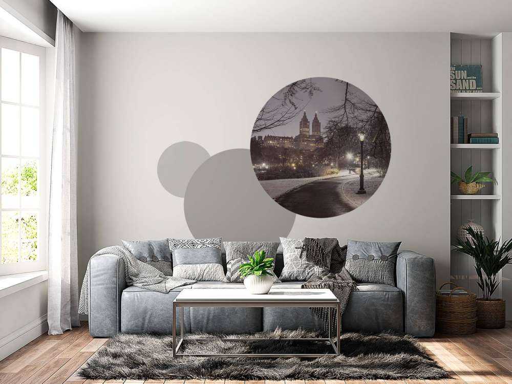 Central Park pokryty śniegiem